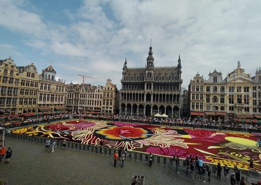 Het Bloementapijt op de Grote Markt, donderdagnamiddag omstreeks 14.00 uur.