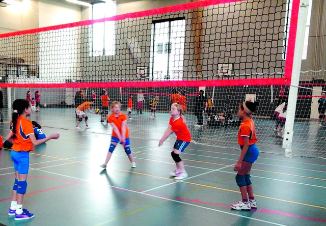 Ambassade Impasse levering Gratis proefles volleybal voor kinderen | BRUZZ