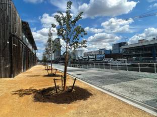 10 juli 2023: het eerste deel van het nieuwe Bécopark aan de Materialenkaai gaat open voor het publiek