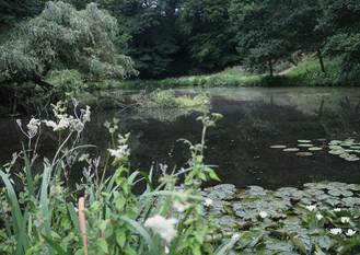 tournay solvay park meer 940 667px c jasmijn park