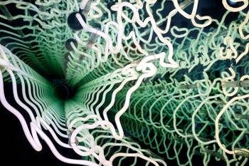 Art Brussels9 2018 c Heleen Rodiers