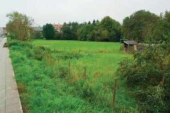 Sint-Agatha-Berchem bloemkwekersstraat