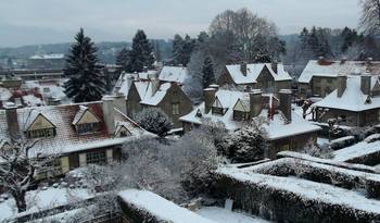 20180123 tuinwijk Florial