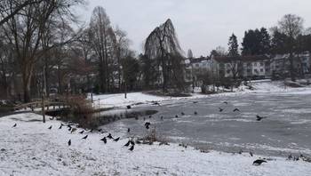 20190124 park-tenreuken