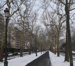 20190124 vorstlaan oudergem