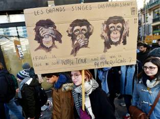 14 februari 2019: Youth for Climate: "Les grands singes disparaissent"
