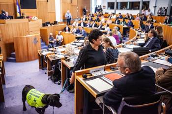 Carla Dejonghe (Open VLD) bij de eedaflegging van de nieuwe Brusselse parlementsleden op 11 juni 2019