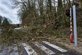 9 februari 2020: onweerschade door storm Ciara in Vorsterielaan in Watermaal-Bosvoorde