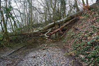 9 februari 2020: onweerschade door storm Ciara in Vorsterielaan in Watermaal-Bosvoorde