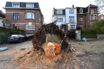 Schade na de doortocht van storm Ciara op zondag 9 februari 2020 in Ukkel