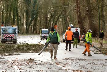 Schade na de doortocht van storm Ciara op zondag 9 februari 2020 in het Ter Kamerenbos