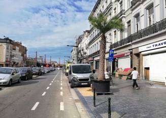 Zomer in Brussel: palmbomen langs de Stalingradlaan als tijdelijke vervanging van de bomen die gekapt werden voor de aanleg van het nieuwe metrostation Toots Thielemans