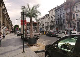 Zomer in Brussel: palmbomen langs de Stalingradlaan als tijdelijke vervanging van de bomen die gekapt werden voor de aanleg van het nieuwe metrostation Toots Thielemans. Het mediterrane gevoel van de laan wordt versterkt.