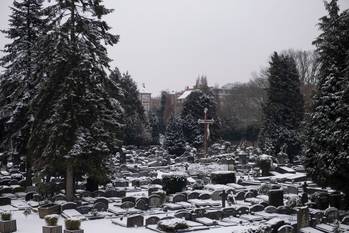 Sneeuw op de begraafplaats aan Laarbeekbos op 7 februari 2021