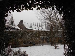Zondag 7 februari 2021: de tuinwijken van Watermaal-Bosvoorde in de sneeuw