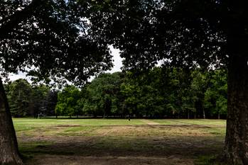 Het Ossegempark na Couleur Cafe en Core op 6 juli 038