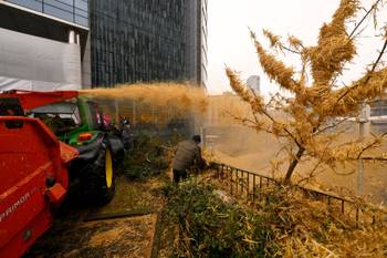 20240226 Boerenprotest Europese wijk overal stro 3