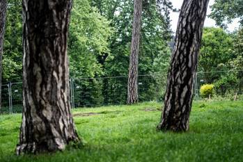 De restauratie van het park van Vorst 2