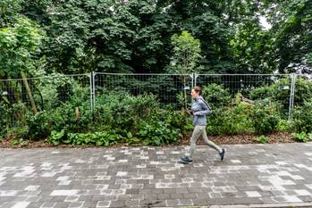 De restauratie van het park van Vorst 5