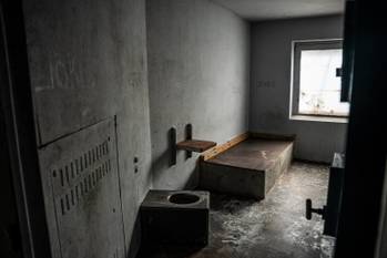 WhatsApp Image 2025-09-08 at 14.37.56 (1)