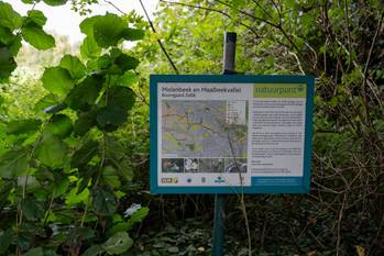 BRZ 20250917 1948 Natuurpunt Ganshoren 4