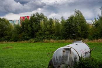 BRZ 20250917 1948 Natuurpunt Ganshoren 14