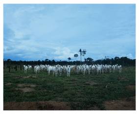 SLT102025 Emilio Azevedo Rondonia 8