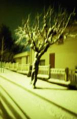 BRZ 20260114 1962 WEEKGIDS Dolores Marat - L’arbre qui marche, 1995