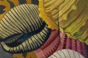 BRZ 20260211 1966 erfgoed schelpdieren