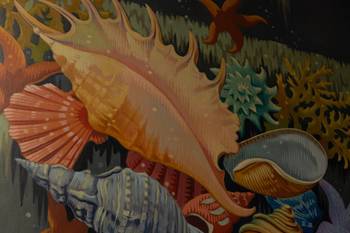 BRZ 20260211 1966 erfgoed schelpdieren3