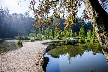 PUBLIREPO Plantentuin Meise 010
