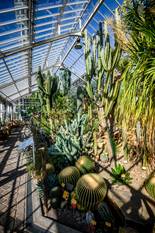 PUBLIREPO Plantentuin Meise 068