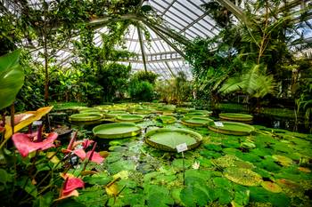 PUBLIREPO Plantentuin Meise 061