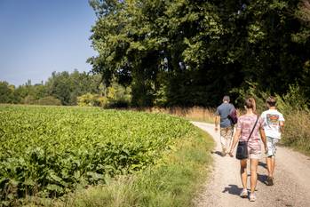 publireportage VB Broekemwandeling 65