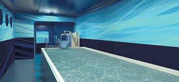 Centre aquatique mobile bassin