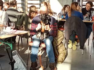 Spaghettislag bij Foodmet