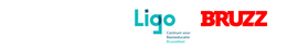 20220927 logobalk ligo bruzz hallo brussel