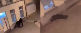 Screenshot video politiegeweld Brussel