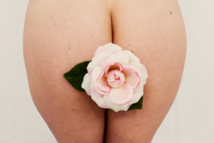 'Derrière la Pomme' van Franck de B is geselecteerd in de Belgische competitie van het Brussels Porn Film Festival.