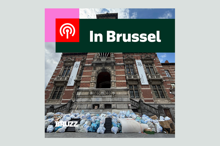 #33 Kuregem ruimt afval voor een betere wijk, maar helpt dat?