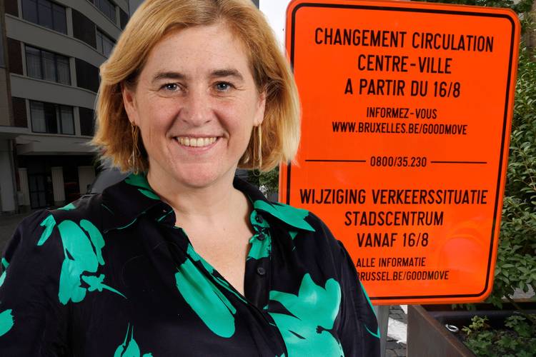 Elke Van den Brandt (Groen) en het plan Good Move