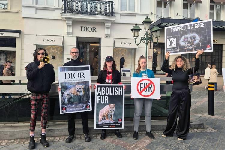 Protestors of the Belgian Anti-Fur Movement (BAM) gather to protest against the use of fur in fashion, among which the LVMH Moet Hennessy Louis Vuitton SE concern, Saturday 22 March 2025 in Brussels.