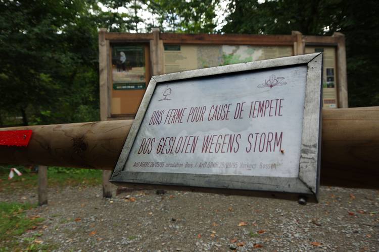 De autoparking ter hoogte van tramhalte Lieveheersbeestjes aan de Rooseveltlaan: 'Bos gesloten wegens storm' op een slagboom die de parking afsluit