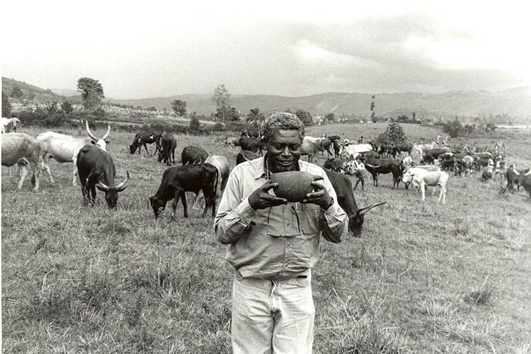 MRT25 Mweze Ngangura 1994 Soloeil films - Le Roi la Vache et le Bananier
