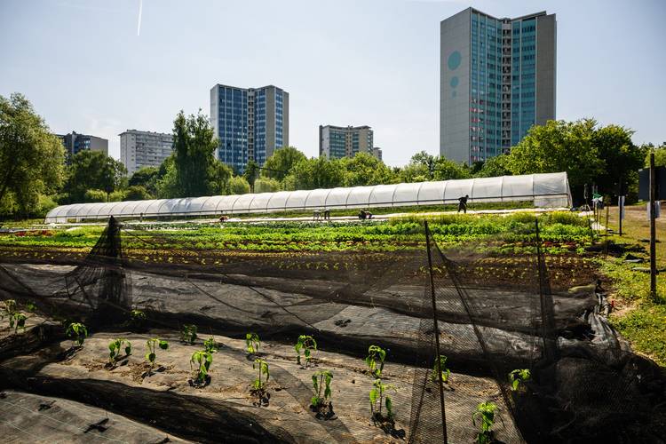 BRZ 20250528 1937 STADSLANDBOUW Theo 15