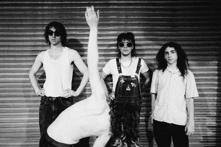 SLT012026 MUSIC Geese