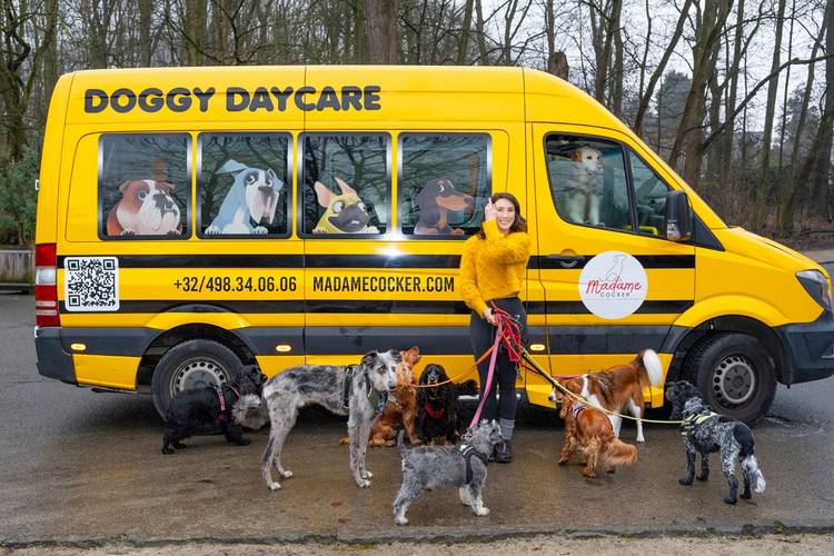 BRZ 20260225 1968 City Job Madame cocker3