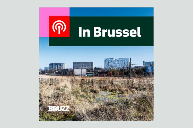 #5 De Josaphatsite: Bouwen of niet bouwen? En Brusselse bedrijven in de USA