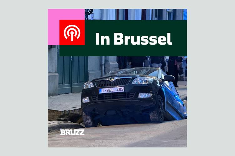 #17 Voor sommigen een grote angst: zinkgaten! Hoe ontstaan ze? En maak kennis met Maty van brux