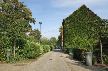 Jette Esseghemstraat